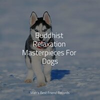 Sleep Time - Dog Music & Calming Music for Dogs & Sleeping Music For Dogs