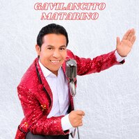 Le Canto a La Vida - Gavilancito Matarino