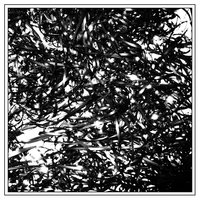 intro - clipping.