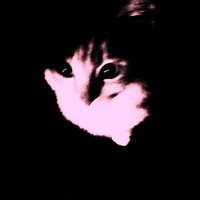 wxrds_xf_lxve - apriltears