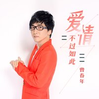 爱情不过如此 - 曾春年