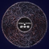 Paradigma - Porque