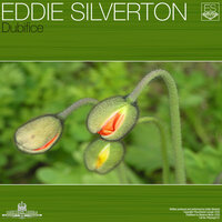 Dubifice - Eddie Silverton