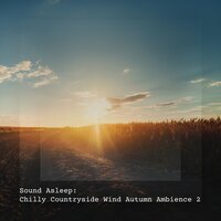 Chilly Countryside Wind Autumn Ambience, Pt. 18 - Elijah Wagner