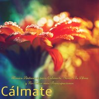 Callarse - Música Relajante para Trabajar - Musica para Meditar Especialistas