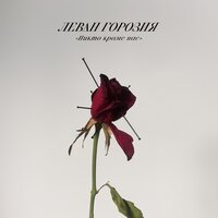 Никто кроме нас - Леван Горозия
