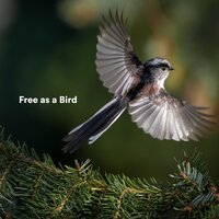 Divine - Ontspanning En Meditatie Voor Mij & Meditation Ambience & Yoga Muziek