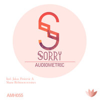 Sorry - Audiometric & Shane Robinson