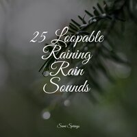 Birds in the Forest - A Sudden Rainstorm & Yoga Para Ninos & Binaural Beats