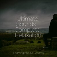 Karma Flows - Crying & Colic Relief & Rain Sounds & Sonidos de lluvia para dormir