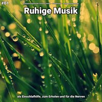Ruhige Musik pt. 5 - Entspannungsmusik Cornelia Verdin & Schlafmusik & Entspannungsmusik