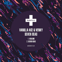 Healing - Vanilla Ace & Venky