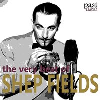 Kinda Lonesome - Shep Fields