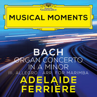J.S. Bach: Concerto in A Minor, BWV 593 (After Vivaldi, RV 522): III. Allegro (Arr. Ferrière for Marimba) - Adélaïde Ferrière & Johann Sebastian Bach