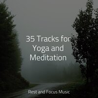 Always Peaceful - Nature Recordings & Alpha Brain Waves & Relajacion Del Mar
