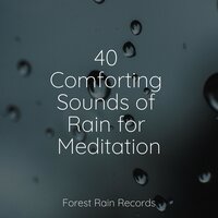 Woods, Dawn, Birds - Lluvia PQ & Relaxing Sounds of Nature & Sleep Sound of Nature