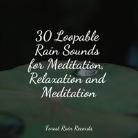 Bonfire in the Forest - Rain Hard & Mother Earth Sounds & Masters of Binaurality