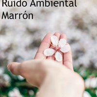 Sonido Ambiente De Naturaleza - Musica Zen Guru