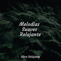 Polvo Rodante - Música de la Naturaleza & Musica relajante & Sonido Del Bosque y Naturaleza