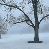 Restitution - Tyler Mann