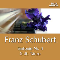 Sinfonie No. 4 für Orchester in C Minor, D. 417 "Tragische Sinfonie": I. Adagio molto - Allegro vivace - Helsingborg Symphony Orchestra & Avi Ostrowsky & Франц Шуберт