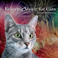 Relaxing Music for Cats Scared of Fireworks - Calming Music for Cats - Cats Music Zone & Cat Music Relaxation & Cat & Calm