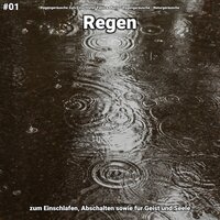 Regen, pt. 6 - Regengeräusche zum Einschlafen Patrick Mazio & Regengeräusche & Naturgeräusche