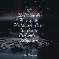 El Palacio De La Sirena - Masajes Spa & Meditar Profundamente & Meditacion