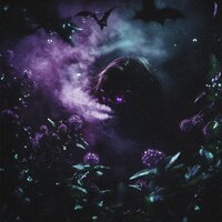 PYREX - YslBby & wexszn