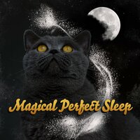 Cats Soundscapes - Soothing Chill Out For Insomnia