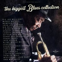 Good Morning, Schoolgirl - Sonny Boy Williamson