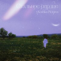 Всё пройдёт - Koshka Pictures