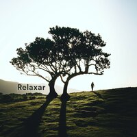 You and the Storm - Relajación océano y olas & Música Instrumental Maestro & Relaxar