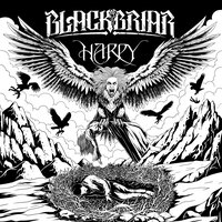 I Buried Us - Blackbriar
