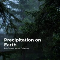 Earthy Chilly Wind - ASMR Rain Sounds & Rain Sounds Nature Collection & Sleepy Rain