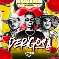 Perigosa - Biu do Piseiro & DJ JHOW BEATS & Sharyann Gabriel
