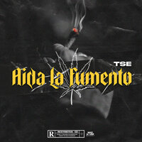 AIDA LA FUMENTO - TSE
