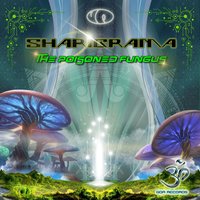 Telepathic Memory - Sharigrama