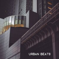 Chill Step - Hip-Hop Lofi Chill & Lo-Fi for Studying & Hip Hop Lofi