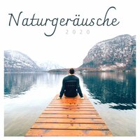 Negative Energie Entfernen - Meditationsmusik Akademie