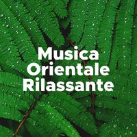 Musica per l'Ufficio - Personal Believer & Ambient Arena & Ambient Arena & Personal Believer