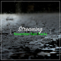 Continuous Rain - Rain Forest FX, Pacific Rim Nature Sounds, Nature Chillout & Pacific Rim Nature Sounds & Nature Chillout & Rain Forest FX
