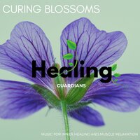 Midnight Dhyana - Sanct Devotional Club