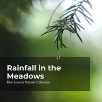 Paradise Tropical Rain - ASMR Rain Sounds & Rain Sounds Nature Collection & Sleepy Rain