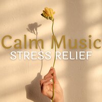Healing Rain - Acoustic Hits