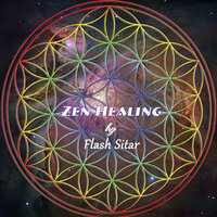 Fur Elise - Flash Sitar