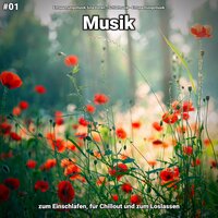 Leichte Weiten - Entspannungsmusik & Schlafmusik & Entspannungsmusik Sina Donen