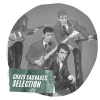 Ericka - Les Chats Sauvages