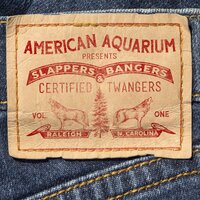 I Try to Think About Elvis - American Aquarium