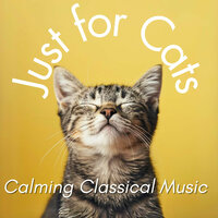 Autumn Hues - Relax My Cat & Cat Music Dreams & Cat Music Zone